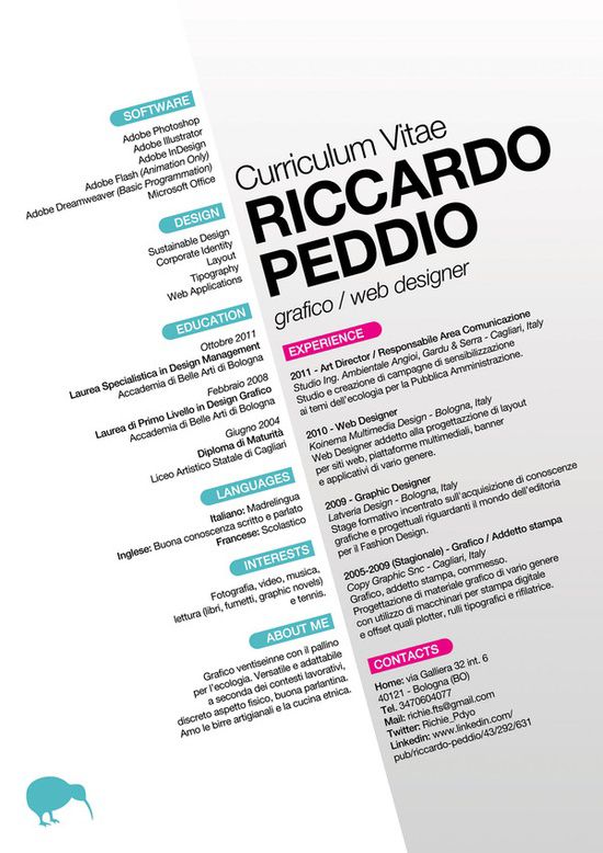 Riccardio Peddio CV