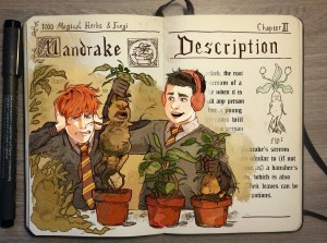 Mandrake illustration by Gabriel Picolo